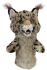 Daphnes headcover bobcat